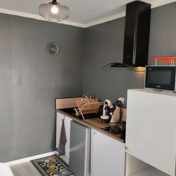 Apartment Appartement Verdoyant Au Bord Du Lac Leman Entre Evian Et Thonon Dans Une Villa Publier France