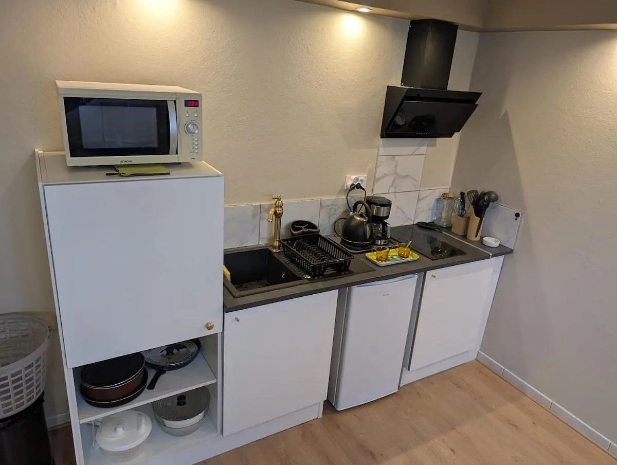 Appartement Verdoyant Au Bord Du Lac Leman Entre Evian Et Thonon Dans Une Villa Publier Apartment